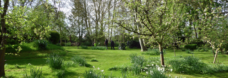 NGS Sawston Open Gardens: Sunday 3rd July 2022, 1pm to 5pm