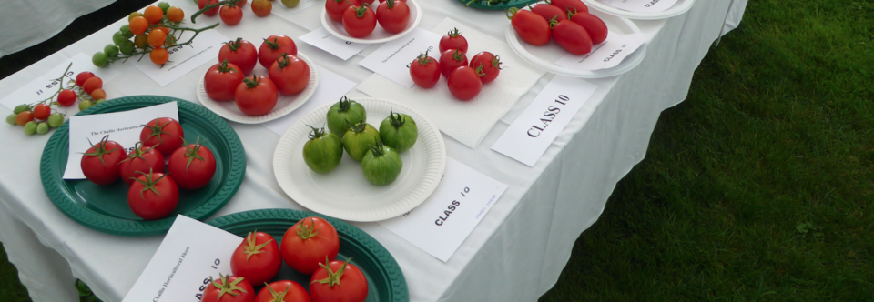 2025 Challis Horticultural Show & Fete: Saturday 6th September